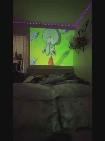 VISIONIX projector + VISIONIX MaxScreen 120"