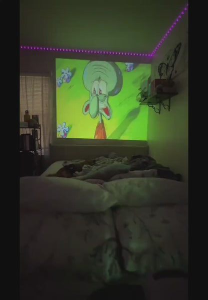 VISIONIX projector